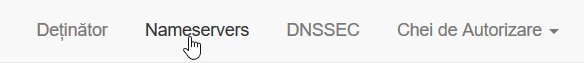 Nameservere panou Rotld