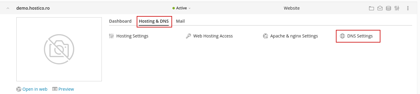 DNS Settings Plesk